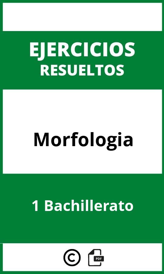 Ejercicios Morfologia 1 Bachillerato PDF