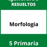 Ejercicios Morfologia 5 Primaria PDF