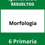 Ejercicios Morfologia 6 Primaria PDF