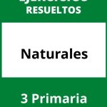 Ejercicios Naturales 3 Primaria PDF