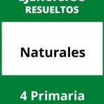 Ejercicios Naturales 4 Primaria PDF