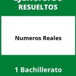 Ejercicios Numeros Reales 1 Bachillerato PDF