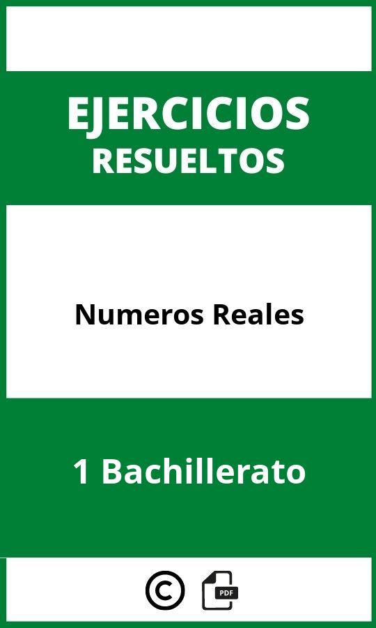 Ejercicios Numeros Reales 1 Bachillerato PDF