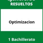 Ejercicios Optimizacion 1 Bachillerato PDF