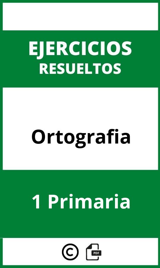 Ejercicios Ortografia 1 Primaria PDF