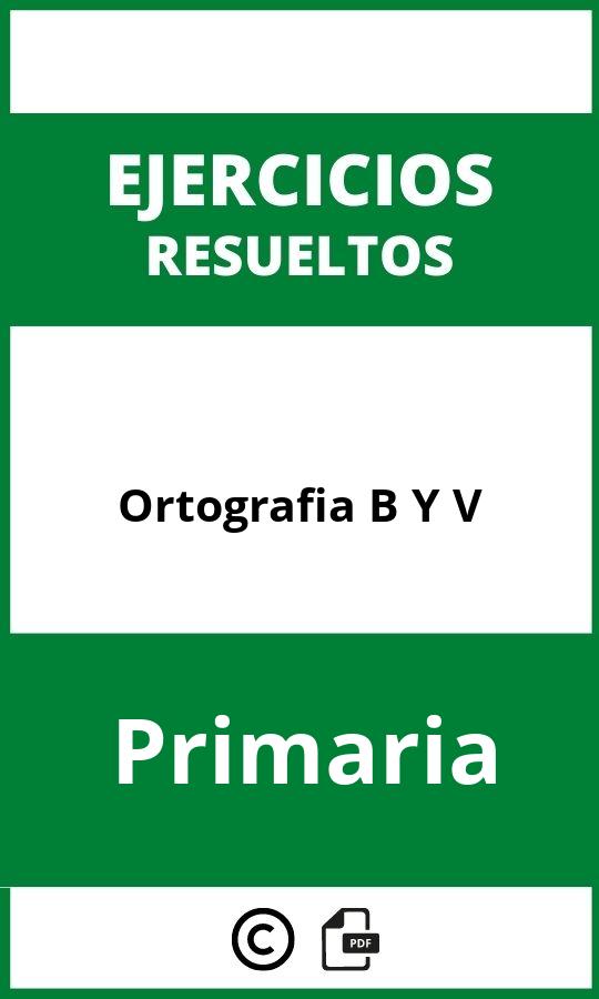 Ejercicios Ortografia B Y V Primaria PDF