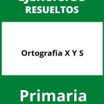 Ejercicios Ortografia X Y S PDF Primaria