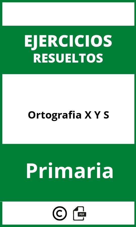 Ejercicios Ortografia X Y S PDF Primaria