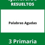 Ejercicios Palabras Agudas 3 Primaria PDF