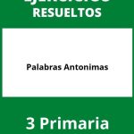 Ejercicios Palabras Antonimas 3 Primaria PDF