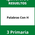 Ejercicios Palabras Con H 3 Primaria PDF