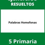 Ejercicios Palabras Homofonas 5 Primaria PDF