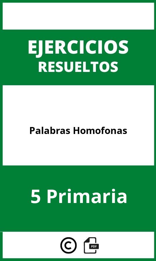 Ejercicios Palabras Homofonas 5 Primaria PDF