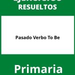 Ejercicios Pasado Verbo To Be Primaria PDF