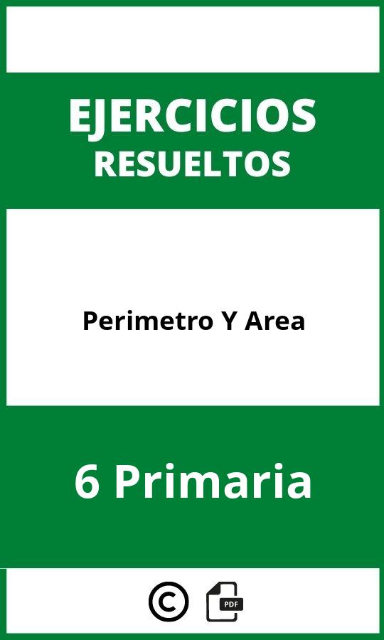 Ejercicios Perimetro Y Area 6 Primaria PDF