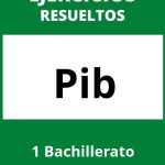 Ejercicios Pib 1 Bachillerato PDF