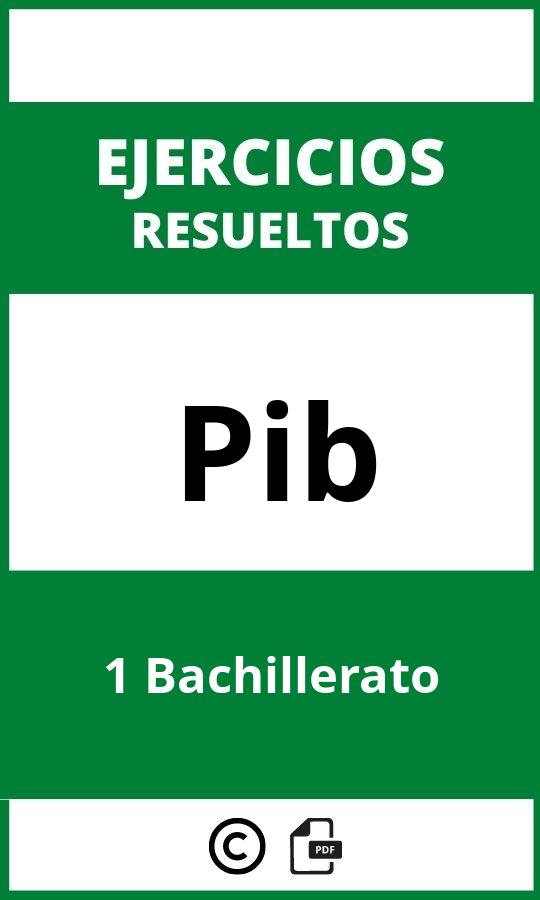 Ejercicios Pib 1 Bachillerato PDF