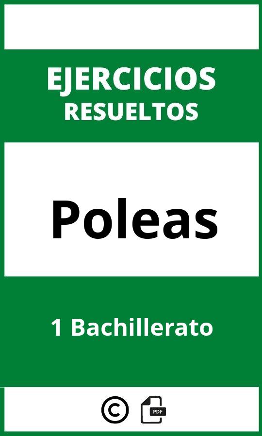 Ejercicios Poleas 1 Bachillerato PDF