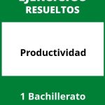 Ejercicios Productividad 1 Bachillerato PDF