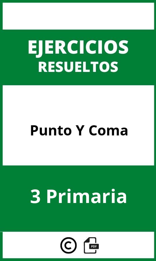 Ejercicios Punto Y Coma 3 Primaria PDF