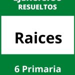 Ejercicios Raices 6 Primaria PDF