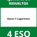 Ejercicios Raices Y Logaritmos 4 ESO PDF
