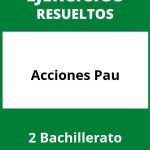 Ejercicios  De Acciones 2 Bachillerato Pau PDF