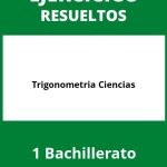 Ejercicios  De Trigonometria 1 Bachillerato Ciencias PDF