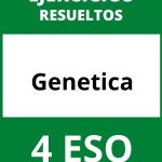 Ejercicios  Genetica 4 ESO PDF