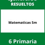 Ejercicios  Matematicas 6 Primaria PDF Sm