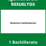 Ejercicios  Numeros Combinatorios 1 Bachillerato PDF
