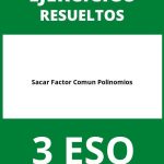 Ejercicios Sacar Factor Comun Polinomios 3 ESO PDF