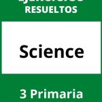 Ejercicios Science 3 Primaria PDF