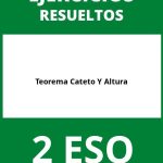 Ejercicios Teorema Cateto Y Altura 2 ESO PDF