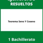 Ejercicios Teorema Seno Y Coseno 1 Bachillerato PDF