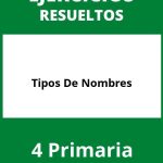 Ejercicios Tipos De Nombres 4 Primaria PDF