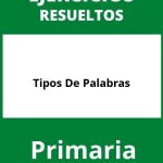 Ejercicios Tipos De Palabras Primaria PDF