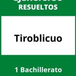 Ejercicios Tiro Oblicuo 1 Bachillerato PDF