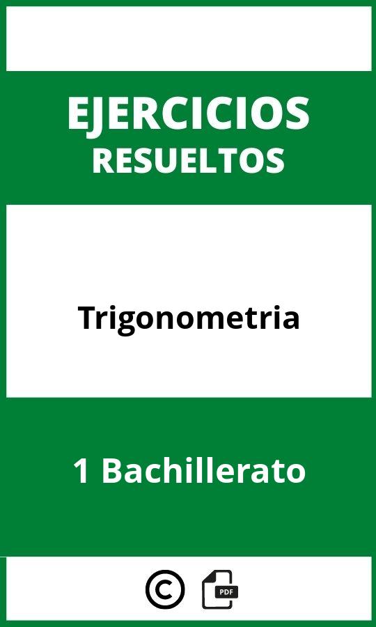 Ejercicios Trigonometria 1 Bachillerato PDF