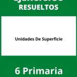 Ejercicios Unidades De Superficie 6 Primaria PDF