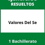 Ejercicios Valores Del Se 1 Bachillerato PDF