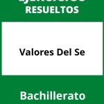 Ejercicios Valores Del Se Bachillerato PDF