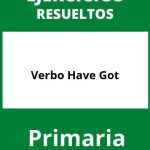 Ejercicios Verbo Have Got Primaria PDF