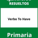 Ejercicios Verbo To Have Primaria PDF