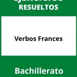 Ejercicios Verbos Frances Bachillerato PDF