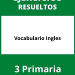 Ejercicios Vocabulario Ingles 3 Primaria PDF