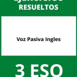 Ejercicios Voz Pasiva Ingles 3 ESO PDF