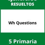 Ejercicios Wh Questions PDF 5 Primaria