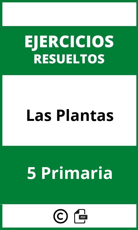 Las Plantas 5 Primaria Ejercicios PDF