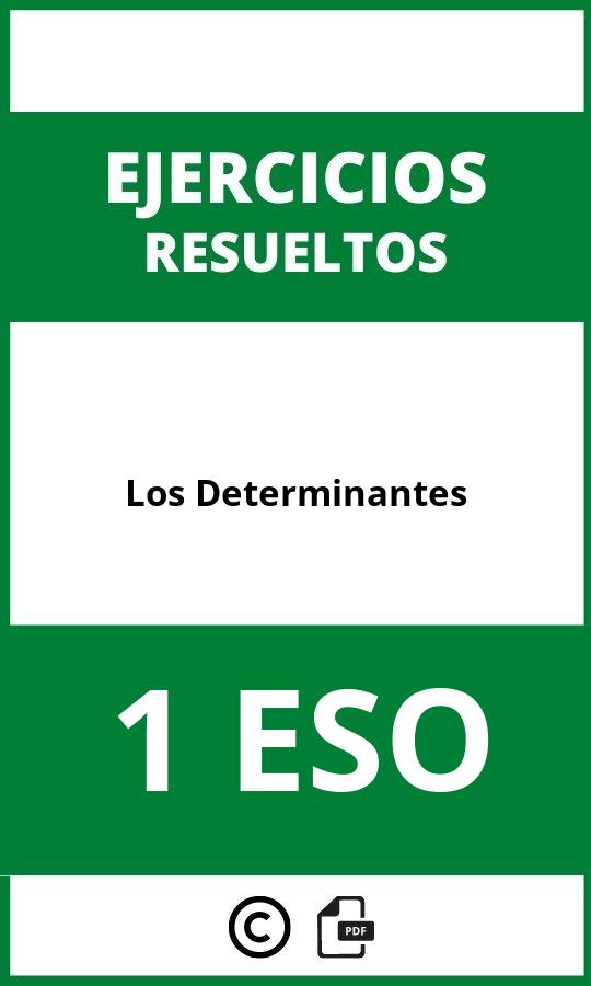 Los Determinantes 1 ESO Ejercicios PDF